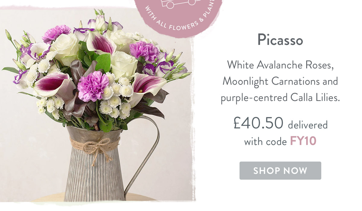Picasso - only &pound;40.50 delivered