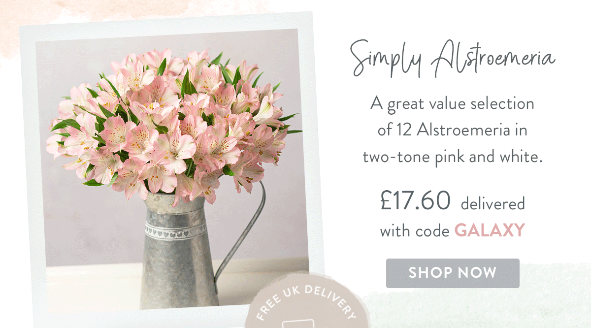 Simply Alstroemeria - only &pound;17.60