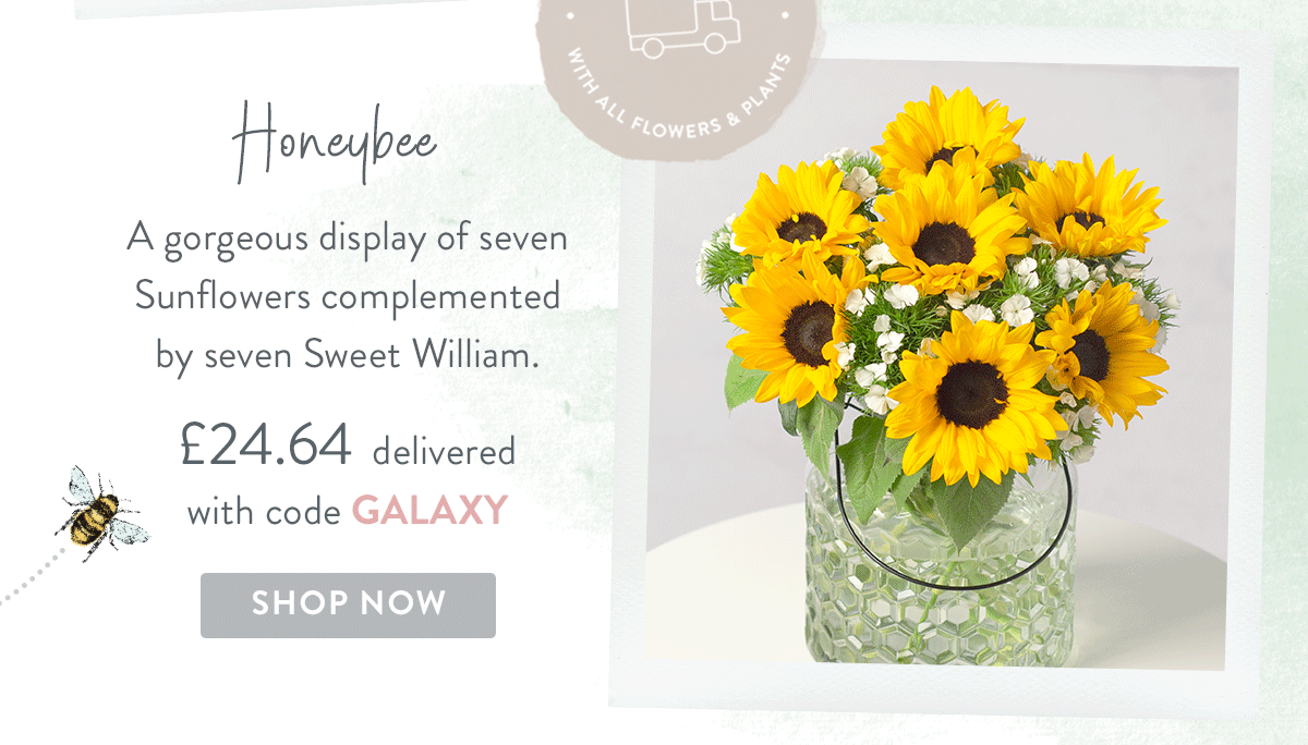 Honeybee - only &pound;24.64