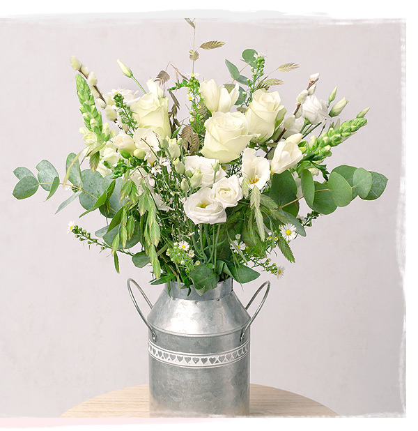 Purity - Only &pound;31.50 delivered