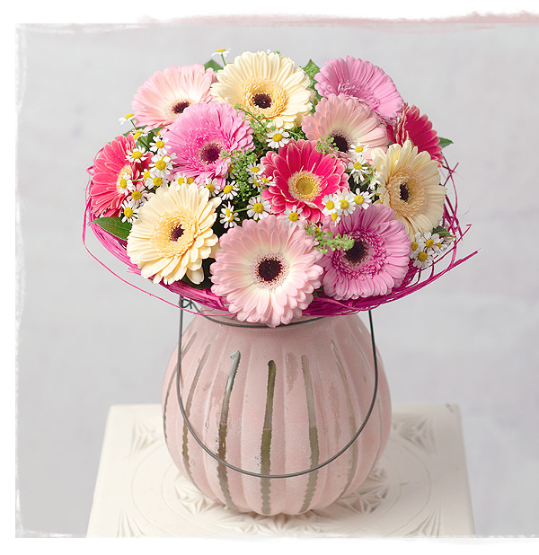 Spring Daisies - Only &pound;27 delivered