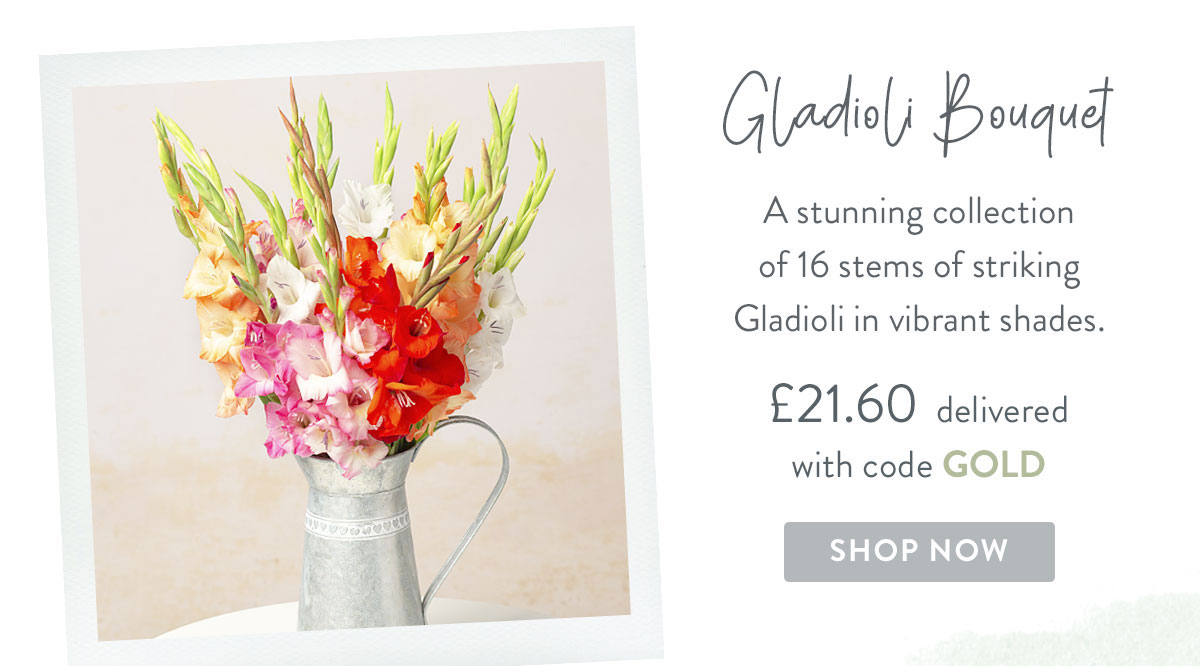 Gladioli Bouquet - only &pound;21.60