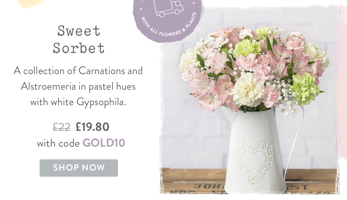 Sweet Sorbet - only &pound;19.80