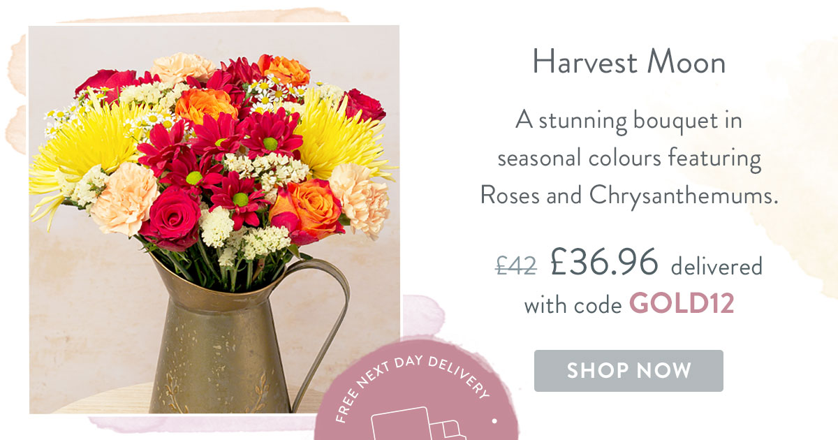 Harvest Moon - Only &pound;36.96 delivered with code