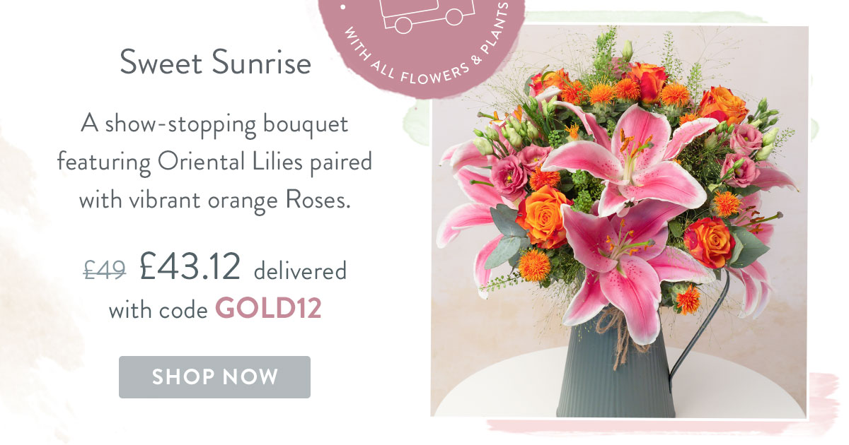 Sweet Sunrise - Only &pound;43.12 delivered with code