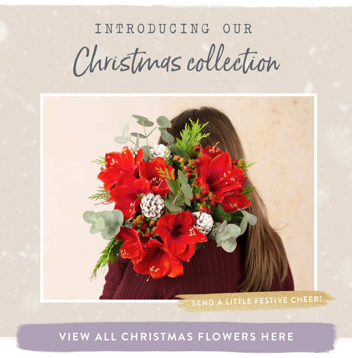 Introducing our Christmas collection