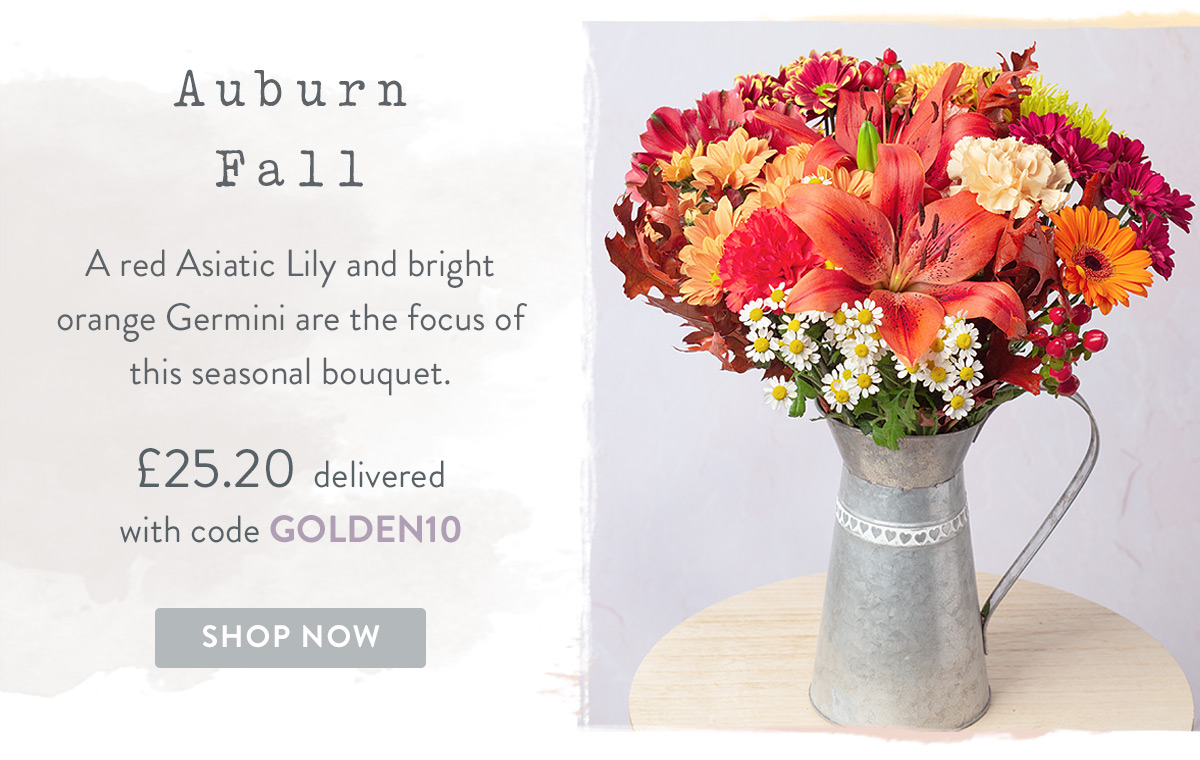 Auburn Fall - only &pound;25.20