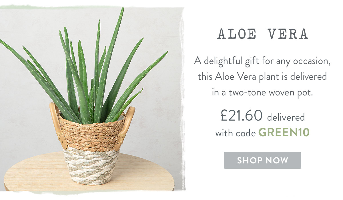 Aloe Vera - only &pound;21.60 delivered