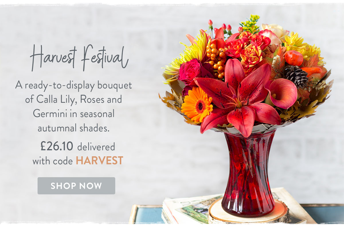 Harvest Festival - only &pound;26.10