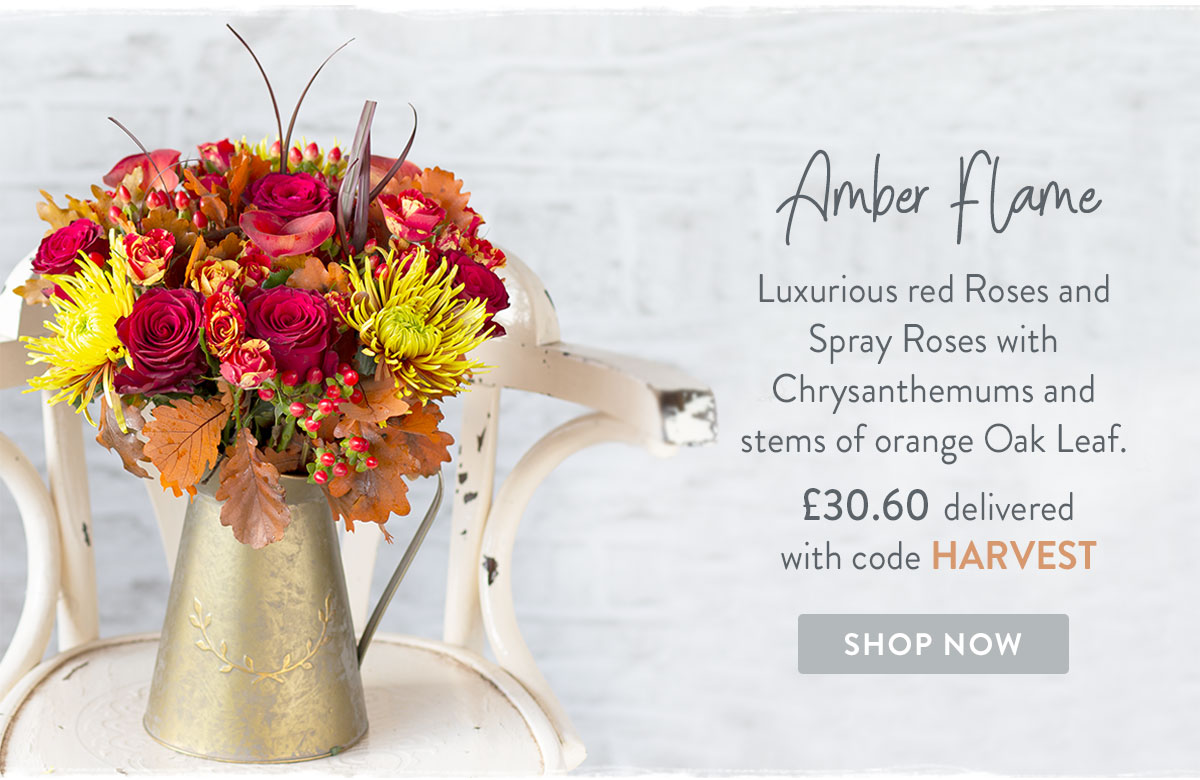 Amber Flame - only &pound;30.60