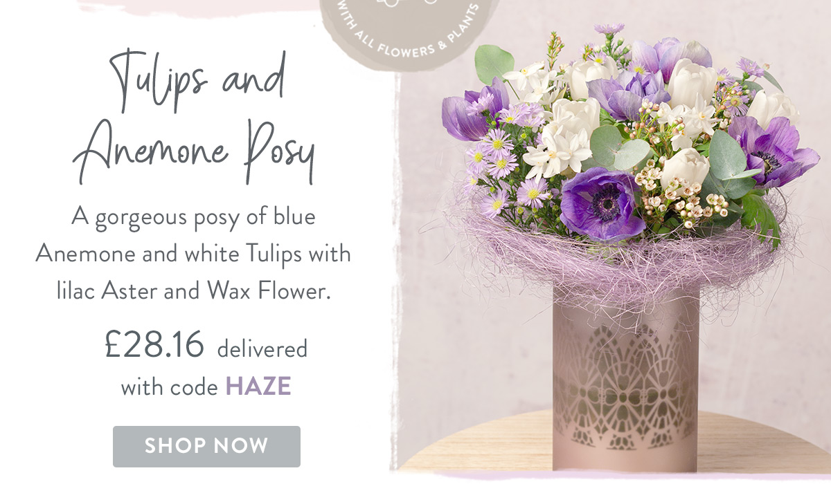 Tulips and Anemone Posy - only &pound;28.16