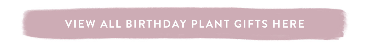 View all House Plant Gifts here