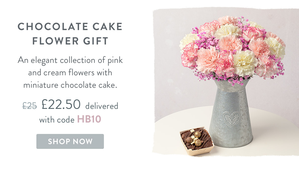 Chocolate Cake Flower Gift - only &pound;22.50 delivered