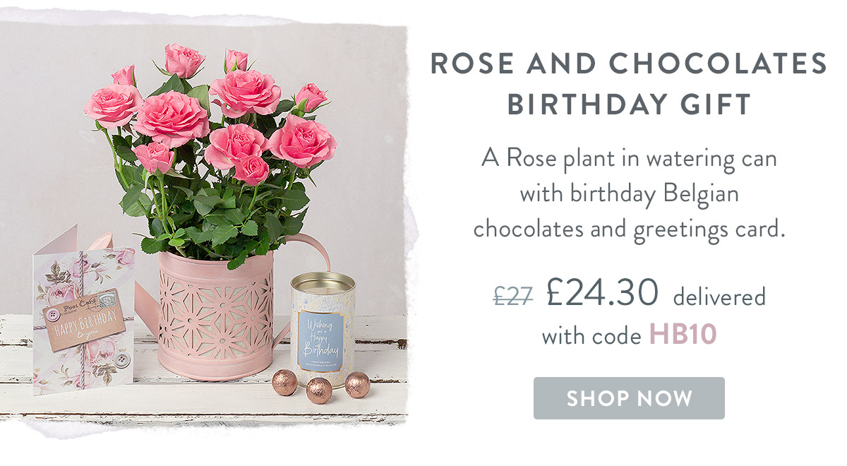 Rose and Chocolates Birthday Gift - only &pound;24.30 delivered