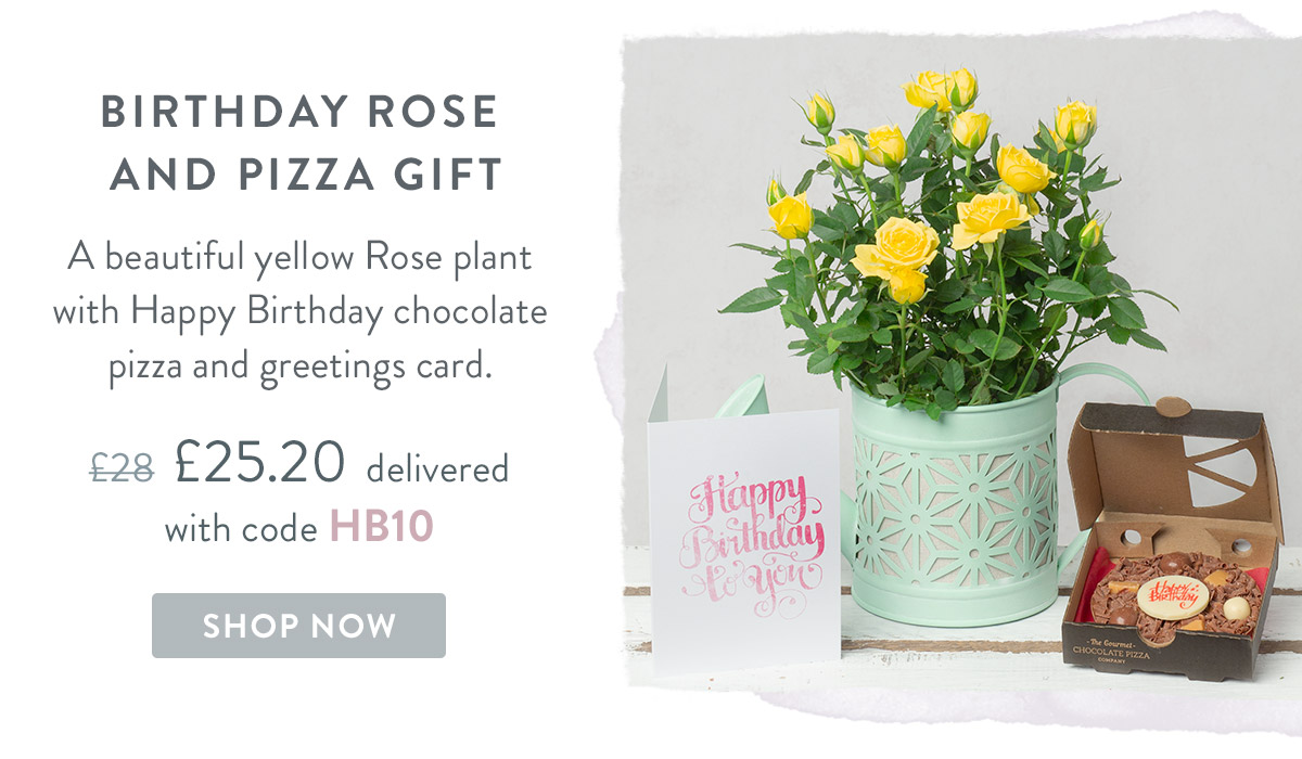 Birthday Rose and Pizza Gift - only &pound;25.20 delivered