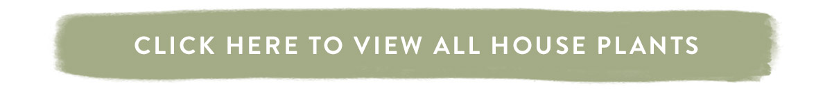 Click here to view all house plants