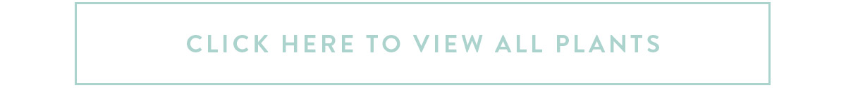 View all house plants