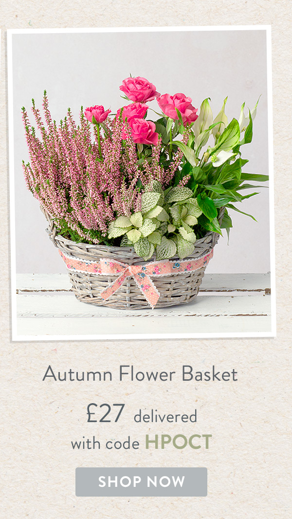 Autumn Flower Basket - Only &pound;27 delivered with code