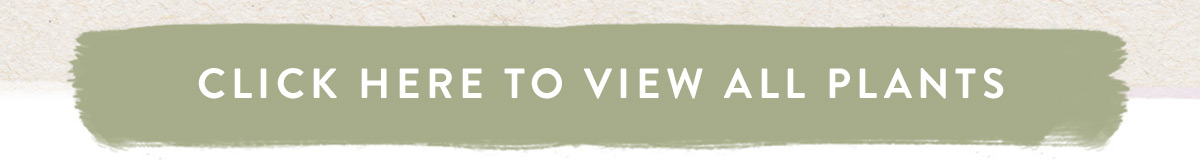 Click here to view all plants