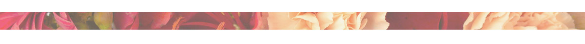 Save 10% using code HTA10