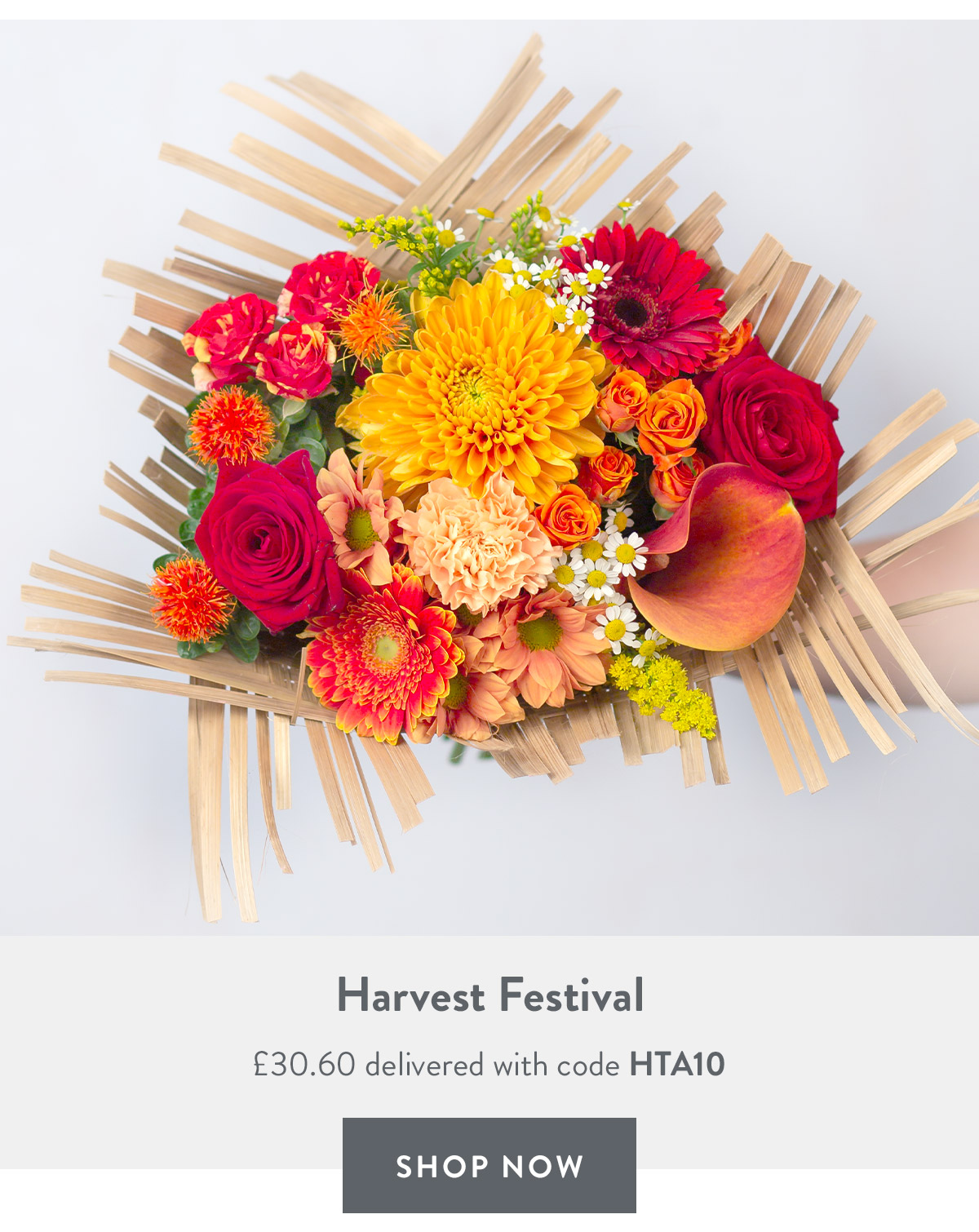 Harvest Festival - only &pound;30.60 delivered