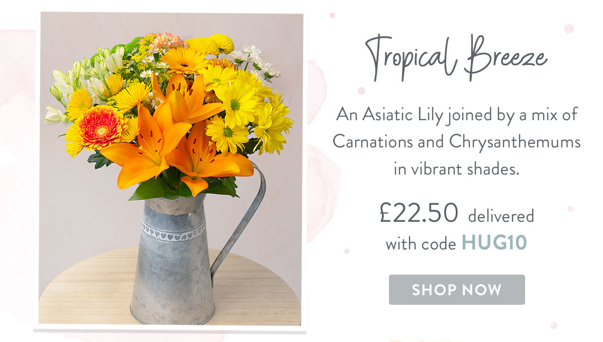 Tropical Breeze - only &pound;22.50