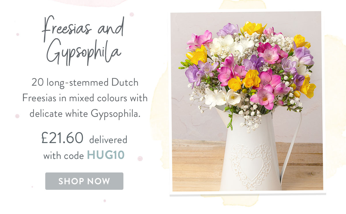 Freesias and Gypsophila - only &pound;21.60
