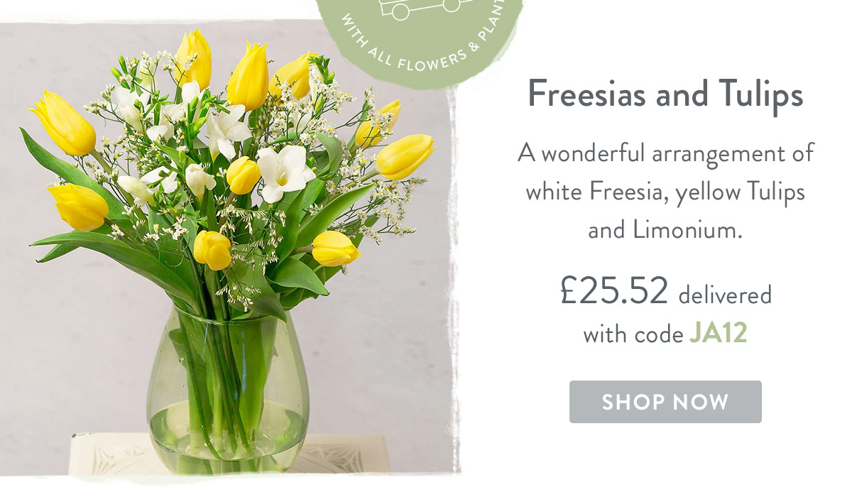 Freesias and Tulips - only &pound;25.52 delivered