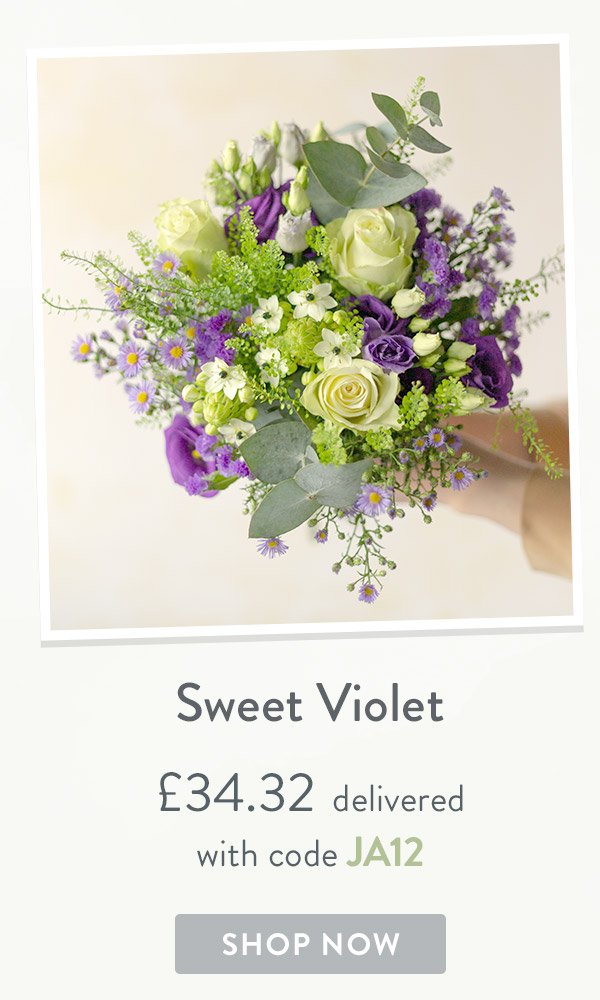 Sweet Violet - only &pound;34.32 delivered