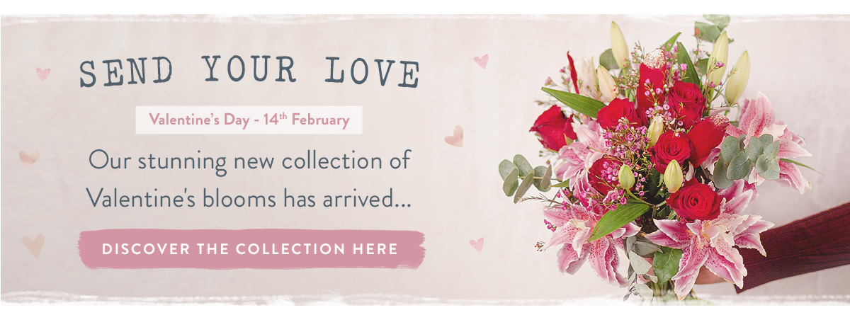 Discover Valentine's Flowers