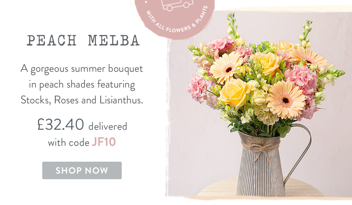 Peach Melba - only &pound;32.40 delivered