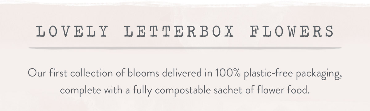 Lovely Letterbox Flowers