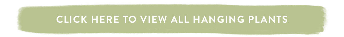 Click here to view all Hanging Plants