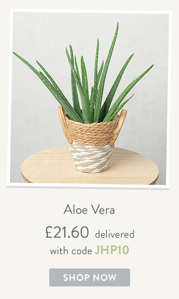 Aloe Vera - only &pound;21.60