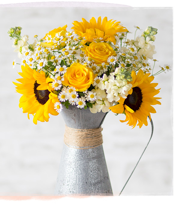 Summer Glow - Only &pound;23.40 delivered