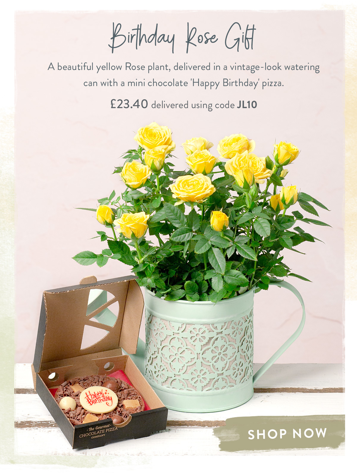 Birthday Rose Gift - only &pound;23.40 when using code