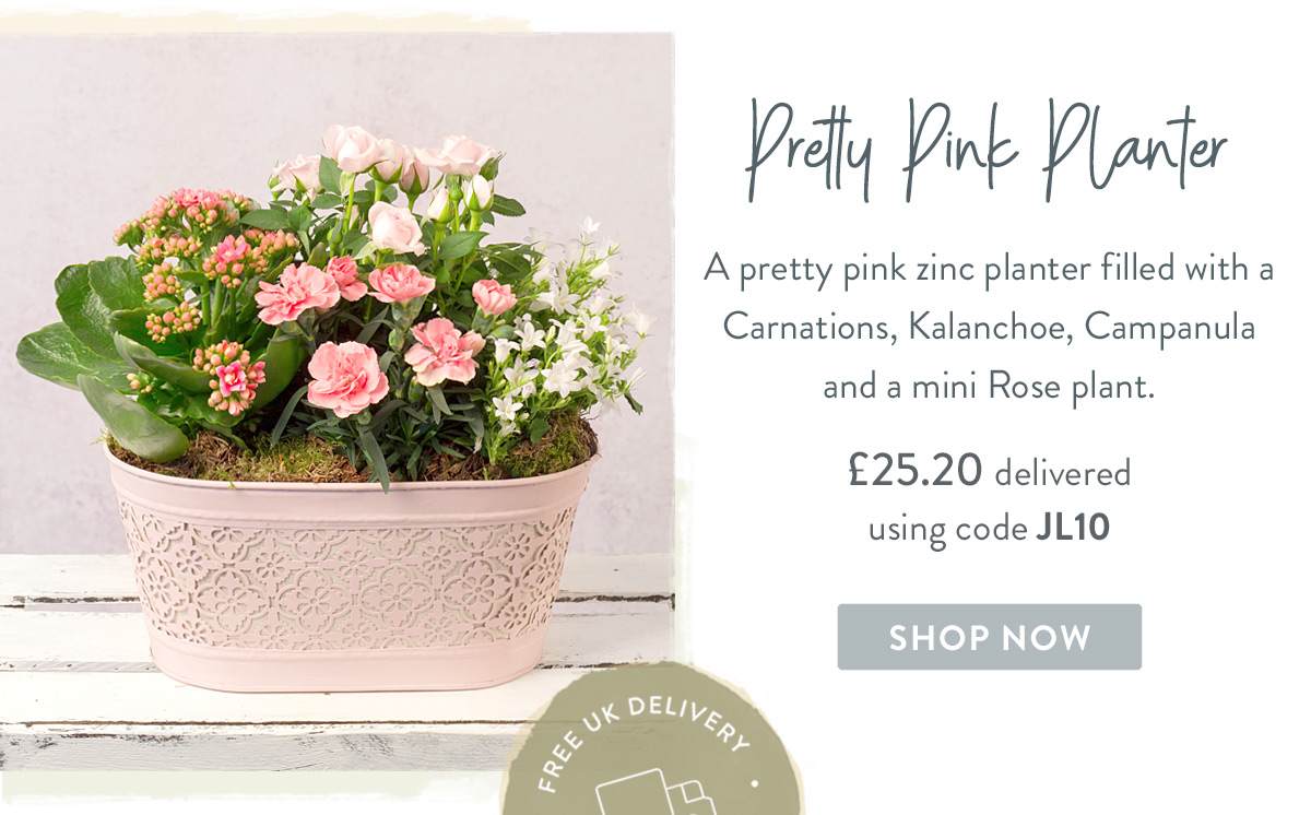 Pretty Pink Planter - only &pound;25.20 when using code