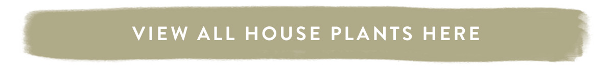 View all House Plants here
