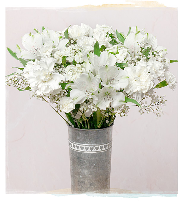 Pearl Drop - Only &pound;20.24 delivered