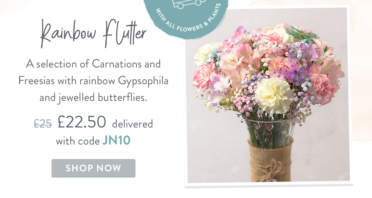 Rainbow Flutter - only &pound;22.50 with promo code