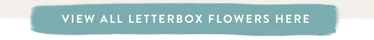 View all letterbox flowers here