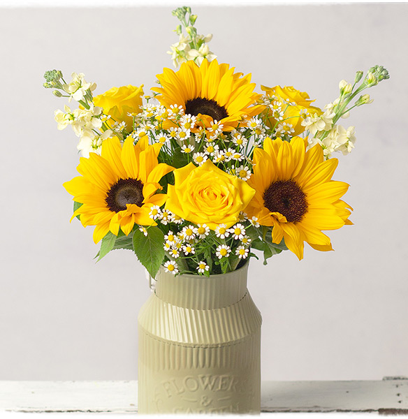 Summer Glow - Only &pound;21.59