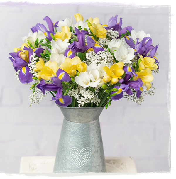 Iris and Freesias - Only &pound;22 delivered