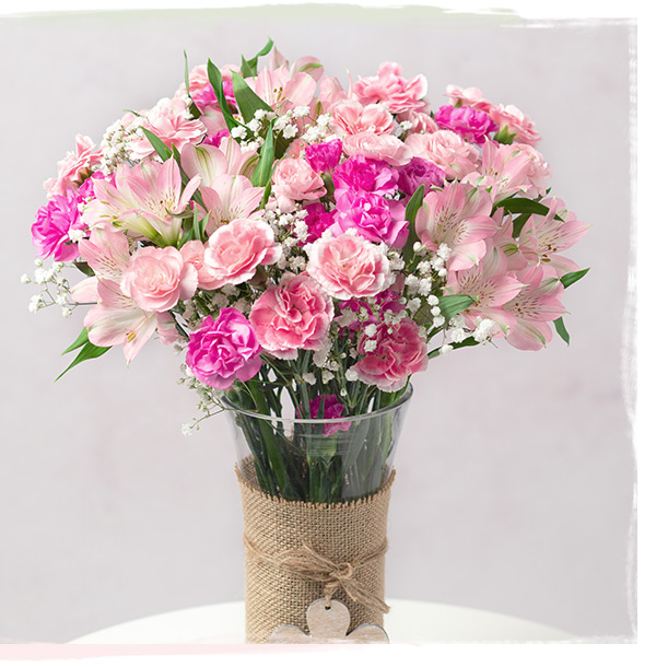 Pink Blush - Only &pound;18.48 delivered