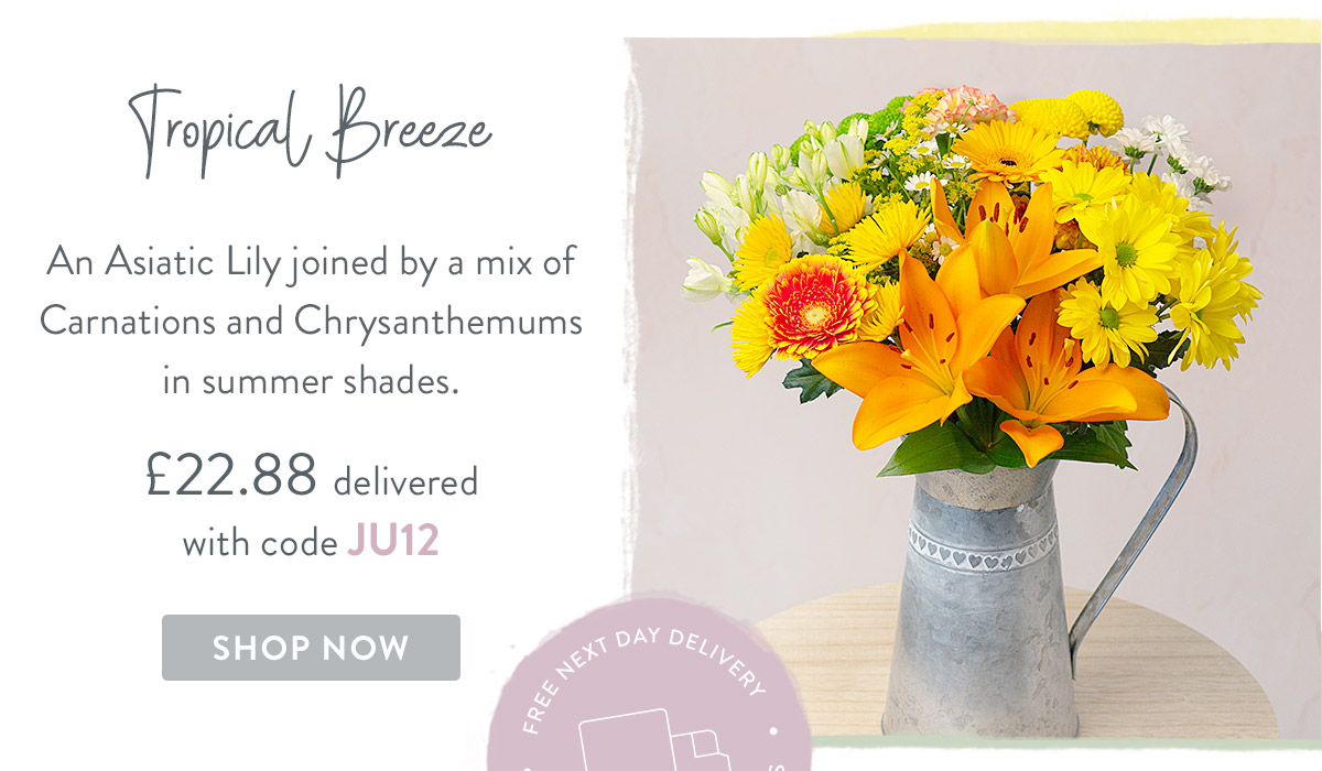 Tropical Breeze - only &pound;22.88 delivered