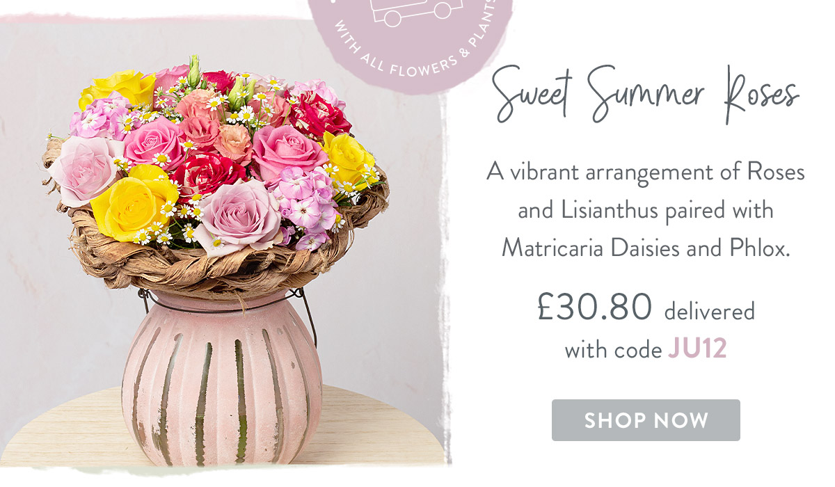 Sweet Summer Roses - only &pound;30.80 delivered