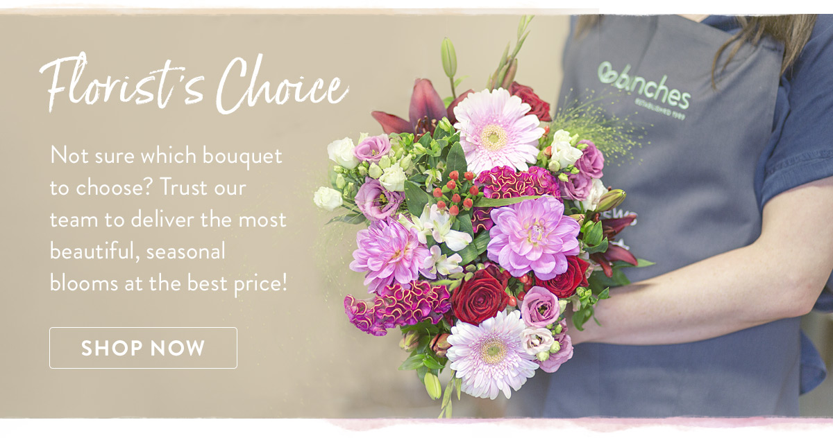 Florist's Choice