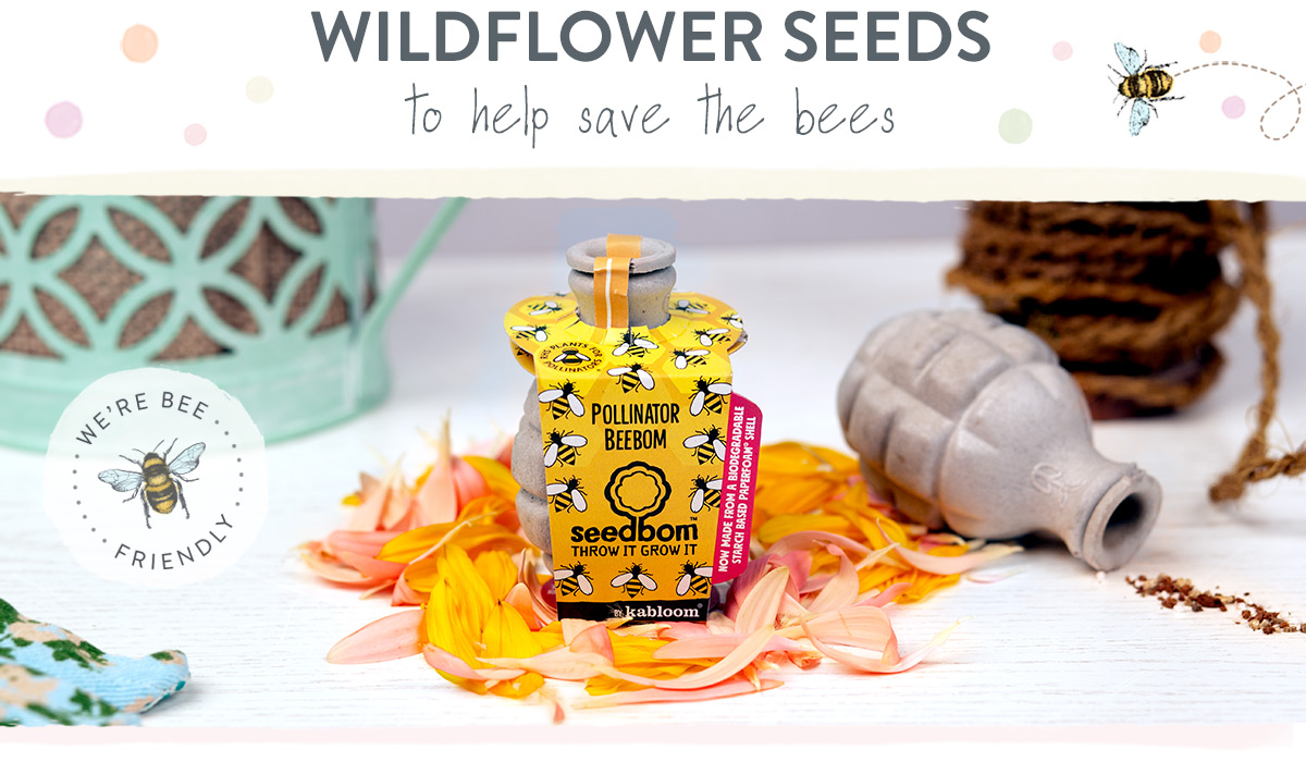 Wildflowers seeds to help save the bees