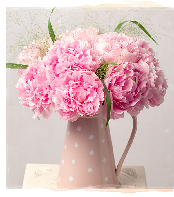 Pink Peonies - Only &pound;22.88 delivered
