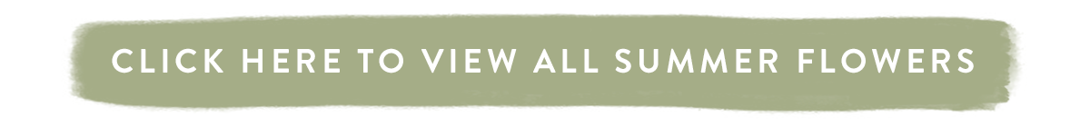 Click here to view all summer flowers